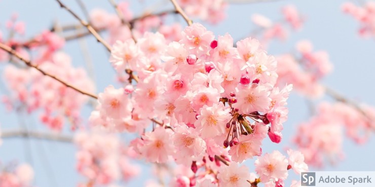 f57c3c4c-c2a6-4e1f-b33f-c790e00aae98